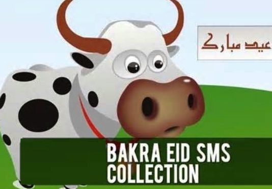 Latest Funny Bakra Eid (Eid Ul Azha) Sms Text Messages