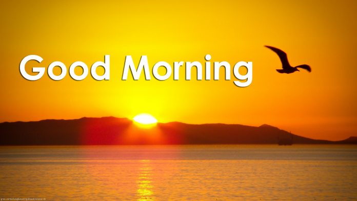 Good Morning | Subha Bakhair Sms & Text Messeges 2020