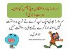 Latest Funny Pathan Punjabi and Urdu FB SMS collection