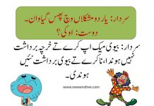 Latest Funny Pathan Punjabi and Urdu FB SMS collection