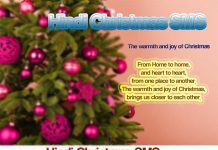 Free Merry Christmas Sms, Wishes, Shayari, Messages in Hindi & English