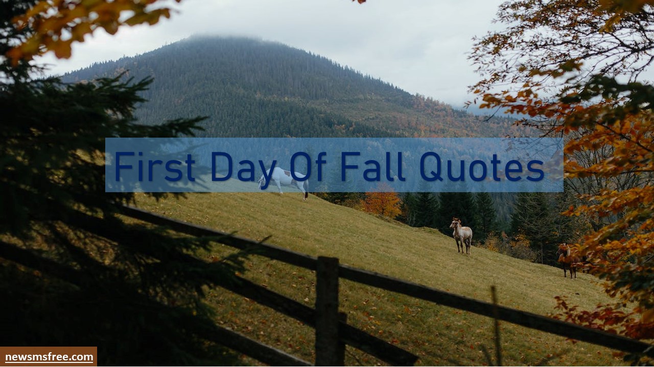 First Day Of Fall 2024 Latest Quotes