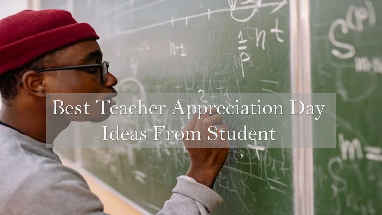 Latest Best Teacher Appreciation Day Ideas From Student 2024