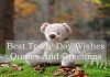 Happy Best Teddy Day Wishes 2024 Quotes And Greetings