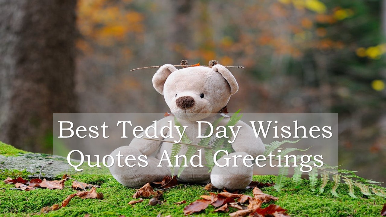 Happy Best Teddy Day Wishes 2024 Quotes And Greetings